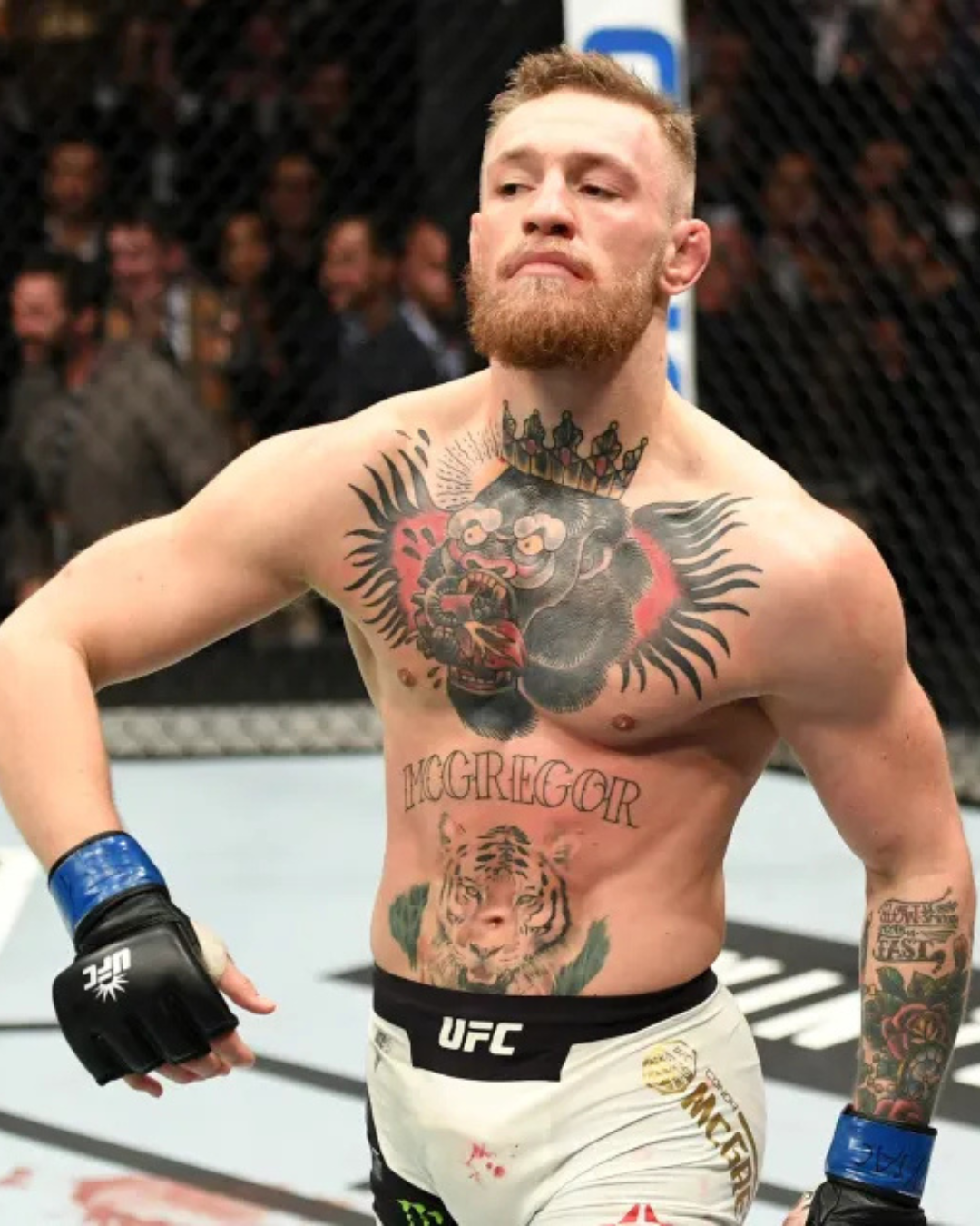 conor mcgregor ufc mma eesti mmaailm.ee