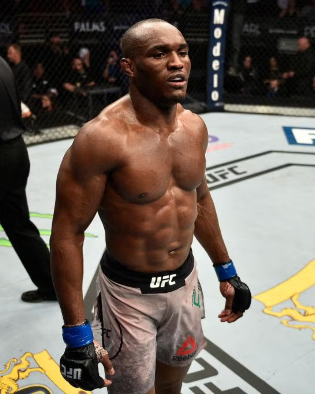mmaailm.ee kamaru usman ufc mma eesti